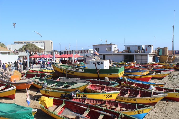 PESCADORES ARTESANALES DE LOS VILOS CIERRAN MÁS DE DOS AÑOS DE ESPERA POR ANSIADA CALETA