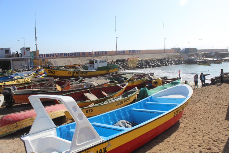 PESCADORES ARTESANALES DE LOS VILOS CIERRAN MÁS DE DOS AÑOS DE ESPERA POR ANSIADA CALETA
