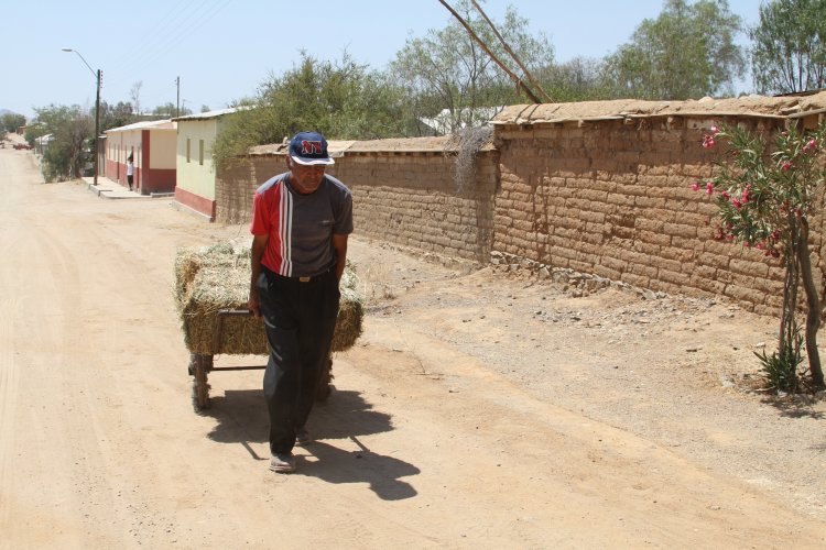 INTENDENTA HANNE UTRERAS IMPULSA NUEVA MEDIDA DE APOYO PARA LOS PEQUEÑOS PRODUCTORES RURALES