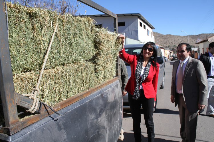 INTENDENTA HANNE UTRERAS IMPULSA NUEVA MEDIDA DE APOYO PARA LOS PEQUEÑOS PRODUCTORES RURALES