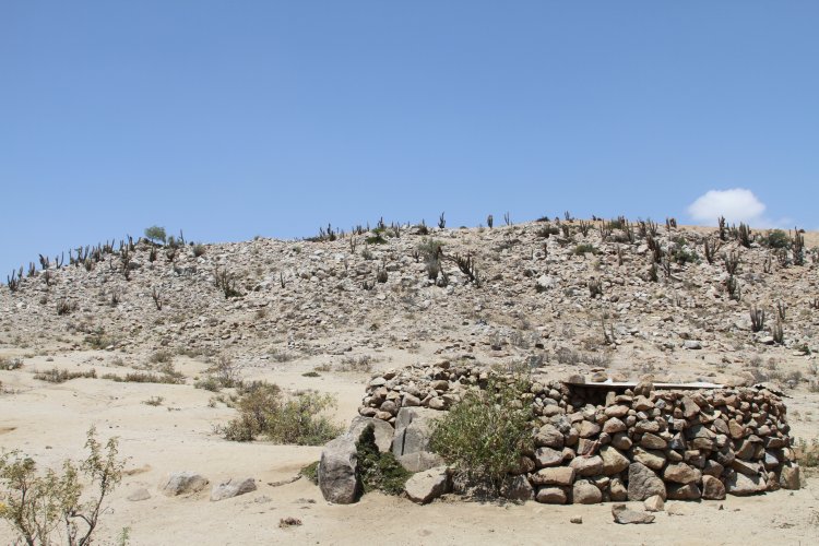 INTENDENTA HANNE UTRERAS IMPULSA NUEVA MEDIDA DE APOYO PARA LOS PEQUEÑOS PRODUCTORES RURALES