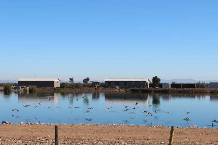 REGIÓN DE COQUIMBO EXPERIMENTA AUMENTO HISTÓRICO DE RECURSOS PARA OBRAS DE RIEGO