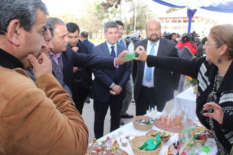 ABREN CONCURSO PARA FINANCIAR PROYECTOS DE EMPRENDEDORES REGIONALES