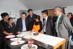 BAJA EN LA PRODUCCIÓN PERUANA GENERA REPUNTE DE LA INDUSTRIA DEL OSTIÓN EN TONGOY