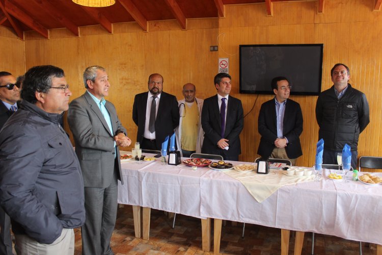 BAJA EN LA PRODUCCIÓN PERUANA GENERA REPUNTE DE LA INDUSTRIA DEL OSTIÓN EN TONGOY