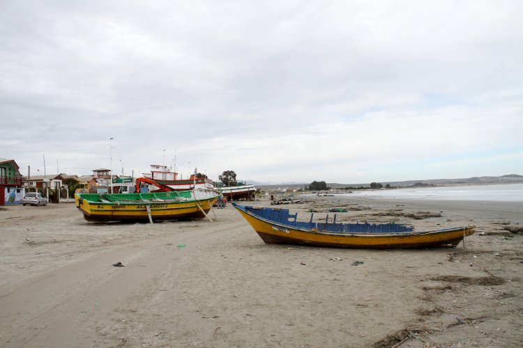 ENTREGAN AYUDA SOCIAL A PESCADORES AFECTADOS POR EL PASADO TEMPORAL