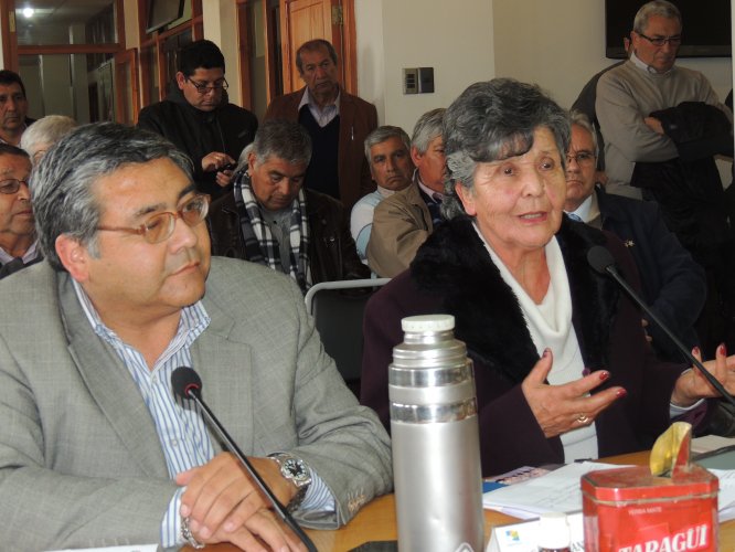 APRUEBAN $7.474 MILLONES PARA MODERNIZACIÓN Y RENOVACIÓN DE TAXIS COLECTIVOS DE TODA LA REGIÓN