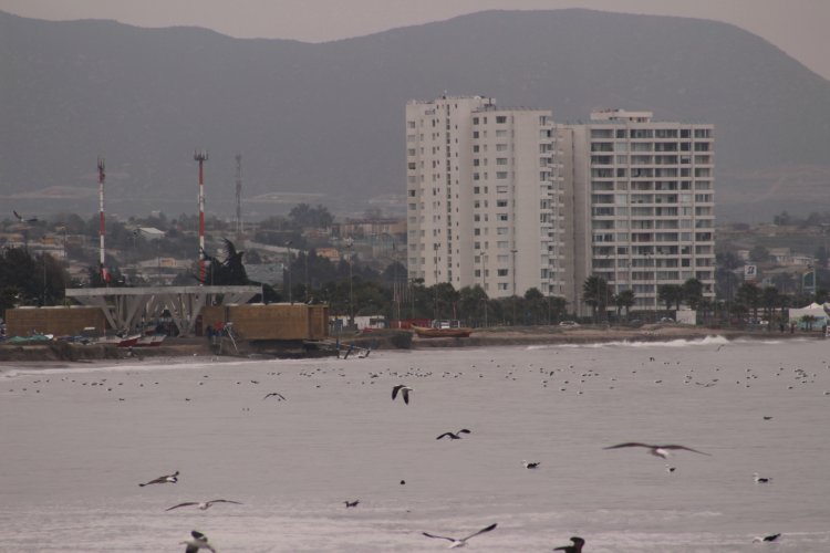 IMPLEMENTARÁN MEDIDAS PARA REPARAR DAÑOS EN CALETA DE PESCADORES DE PEÑUELAS