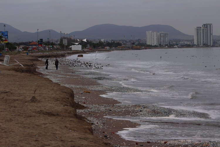 IMPLEMENTARÁN MEDIDAS PARA REPARAR DAÑOS EN CALETA DE PESCADORES DE PEÑUELAS