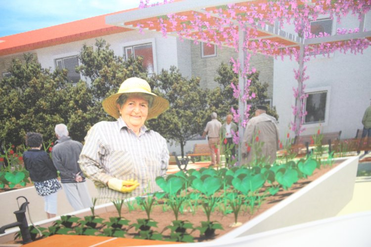 PRESENTAN DISEÑO DEL ESTABLECIMIENTO DE LARGA ESTADÍA PARA ADULTOS MAYORES