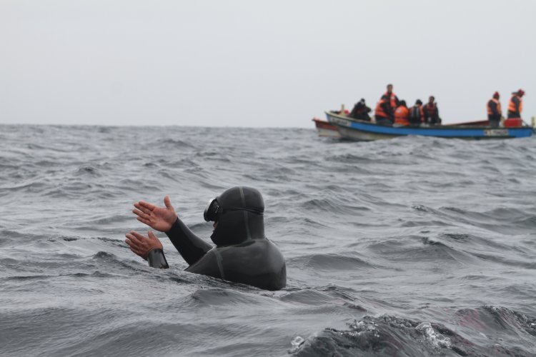 BARCOS CRUSTACEROS DE COQUIMBO INICIAN RESCATE DE CULTIVOS DE OSTIONES