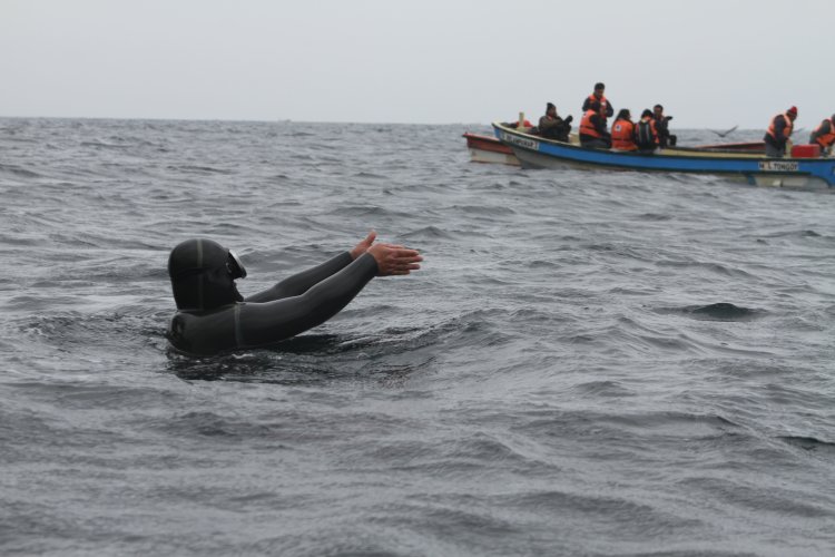 BARCOS CRUSTACEROS DE COQUIMBO INICIAN RESCATE DE CULTIVOS DE OSTIONES