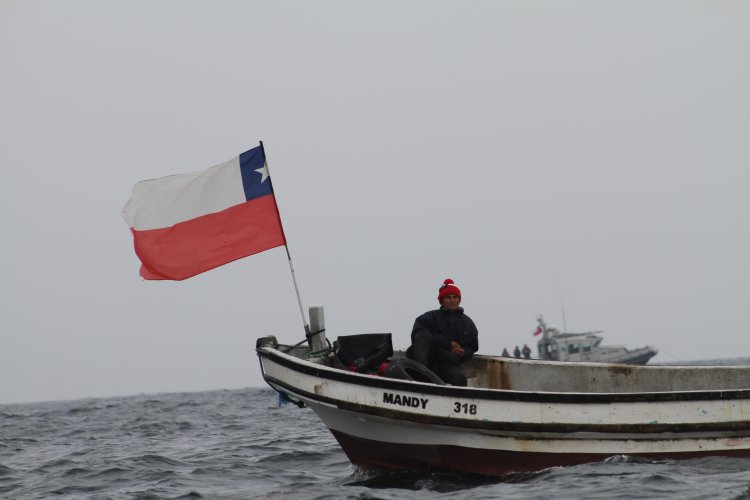 BARCOS CRUSTACEROS DE COQUIMBO INICIAN RESCATE DE CULTIVOS DE OSTIONES