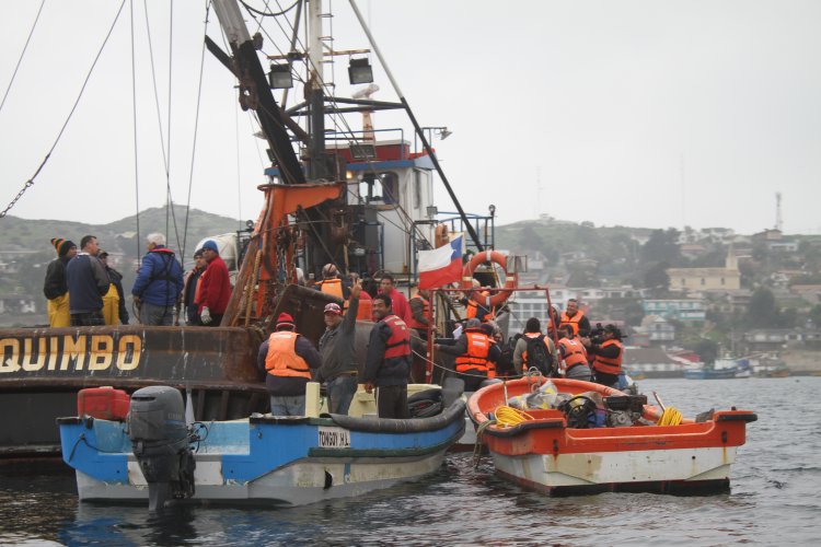 BARCOS CRUSTACEROS DE COQUIMBO INICIAN RESCATE DE CULTIVOS DE OSTIONES