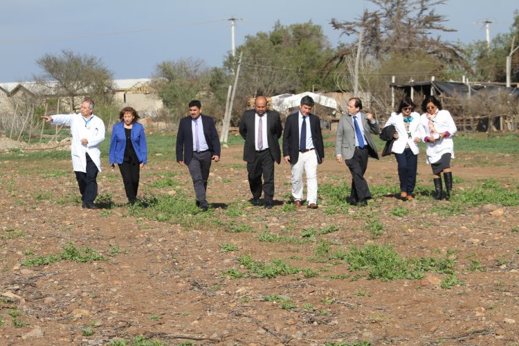 EN NOVIEMBRE COMENZARÁN OBRAS DEL HOSPITAL DE OVALLE