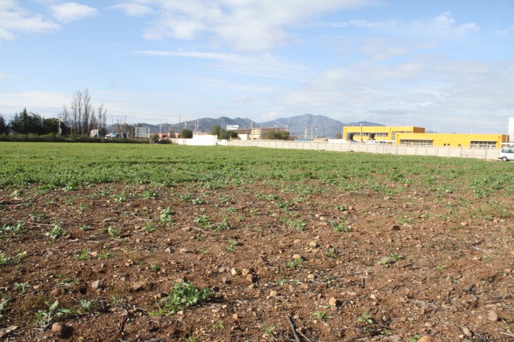 EN NOVIEMBRE COMENZARÁN OBRAS DEL HOSPITAL DE OVALLE