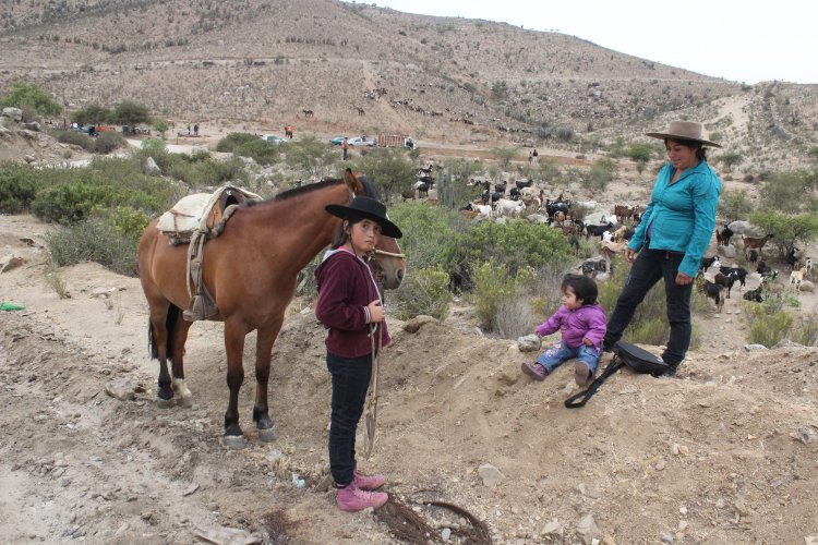 ARGENTINA Y CHILE TRABAJARÁN EN PROTOCOLO DE EMERGENCIA PARA APOYAR A CRIANCEROS DURANTE LAS VERANADAS