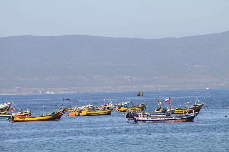 GOBIERNO ENTREGA LAS PRIMERAS EMBARCACIONES A LOS PESCADORES DE TONGOY