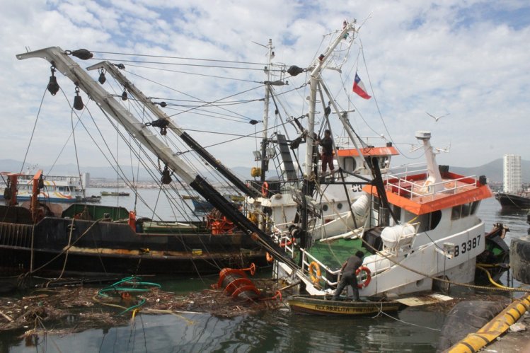MINISTROS SUPERVISAN MEDIDAS DE APOYO POR TERREMOTO Y TSUNAMI EN COQUIMBO