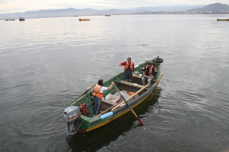 CUATRO TONELADAS DE ALIMENTOS ENTREGAN PESCADORES DE CORONEL EN COQUIMBO