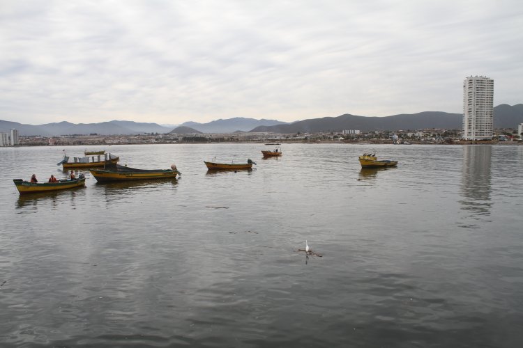 CUATRO TONELADAS DE ALIMENTOS ENTREGAN PESCADORES DE CORONEL EN COQUIMBO