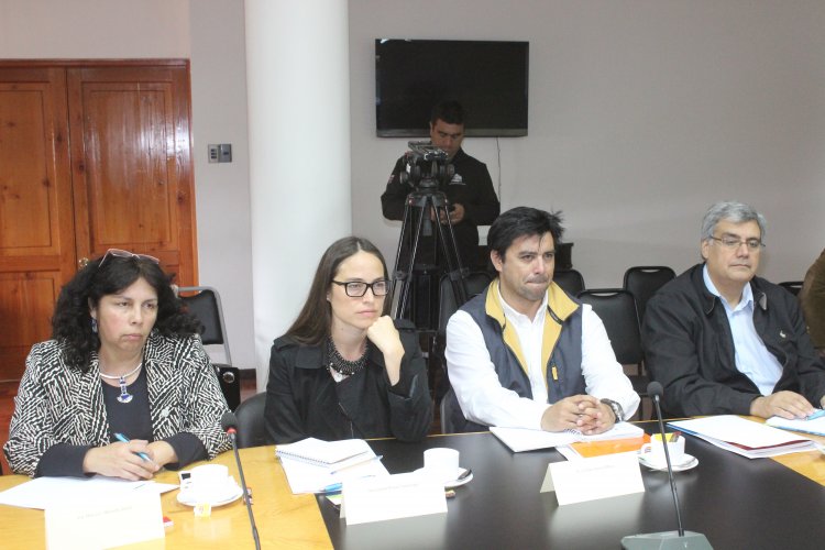 FORMAN COMISIÓN PARA POTENCIAR EL DESARROLLO ENERGÉTICO DE LA REGIÓN