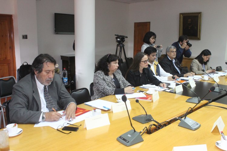 FORMAN COMISIÓN PARA POTENCIAR EL DESARROLLO ENERGÉTICO DE LA REGIÓN