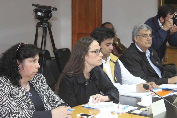 FORMAN COMISIÓN PARA POTENCIAR EL DESARROLLO ENERGÉTICO DE LA REGIÓN