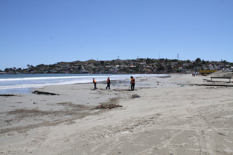 GOBIERNO IMPULSA TRABAJO PARA FORTALECER EL TURISMO EN TONGOY Y PUERTO ALDEA