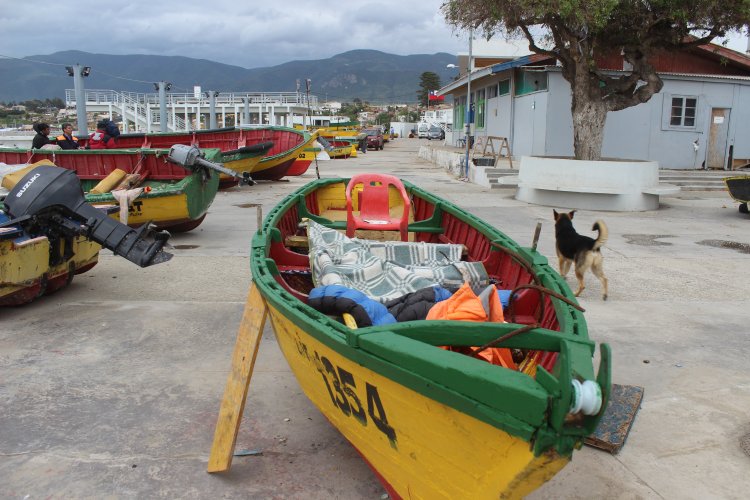 PESCADORES DE LOS VILOS MINIMIZAN DAÑOS TRAS COORDINADO TRABAJO PREVENTIVO