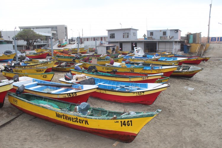 PESCADORES DE LOS VILOS MINIMIZAN DAÑOS TRAS COORDINADO TRABAJO PREVENTIVO