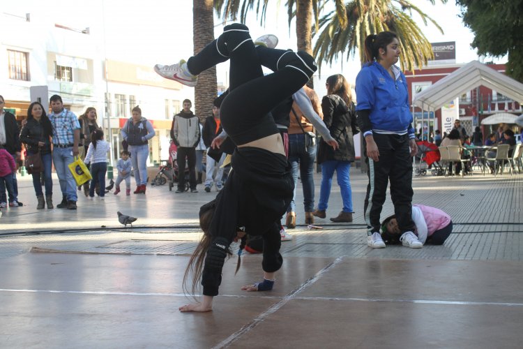 DISPONDRÁN DE $600 MILLONES PARA RECUPERAR LOS ESPACIOS CULTURALES DAÑADOS POR TERREMOTO Y TSUNAMI