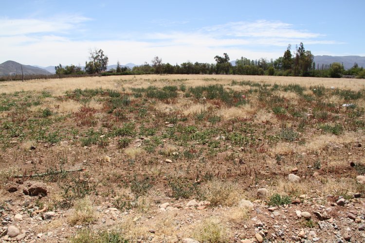 GOBIERNO DA EL VAMOS A OBRAS DEL NUEVO HOSPITAL DE OVALLE