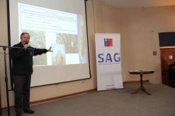 DECLARAN LIBRE DE LA PLAGA DE MOSCA DE LA FRUTA A LA REGIÓN DE COQUIMBO