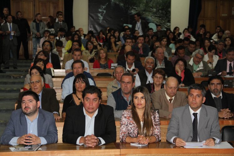 ESTUDIO DESPEJA DUDAS: EL PISCO NACIÓ EN CHILE