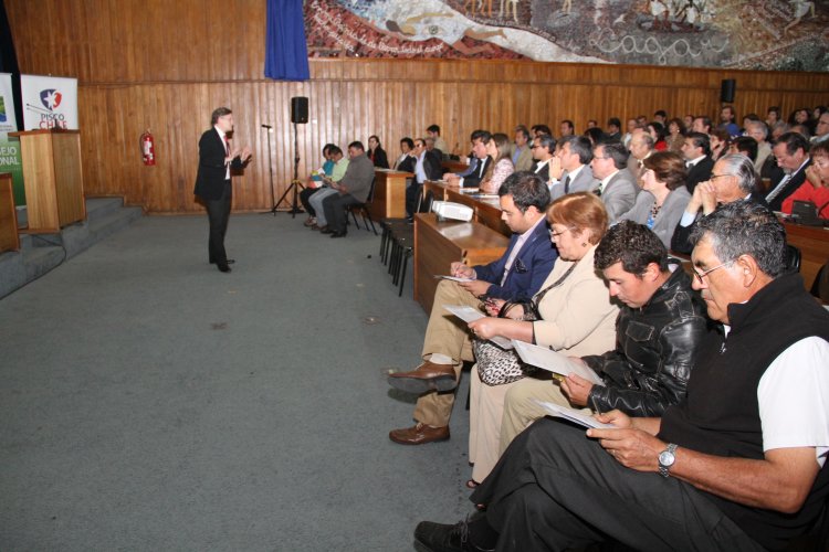 ESTUDIO DESPEJA DUDAS: EL PISCO NACIÓ EN CHILE