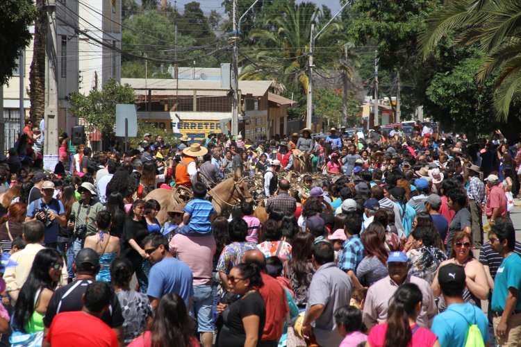 $350 MILLONES DESTINA EL GOBIERNO REGIONAL PARA VERANADAS DE CRIANCEROS EN ARGENTINA