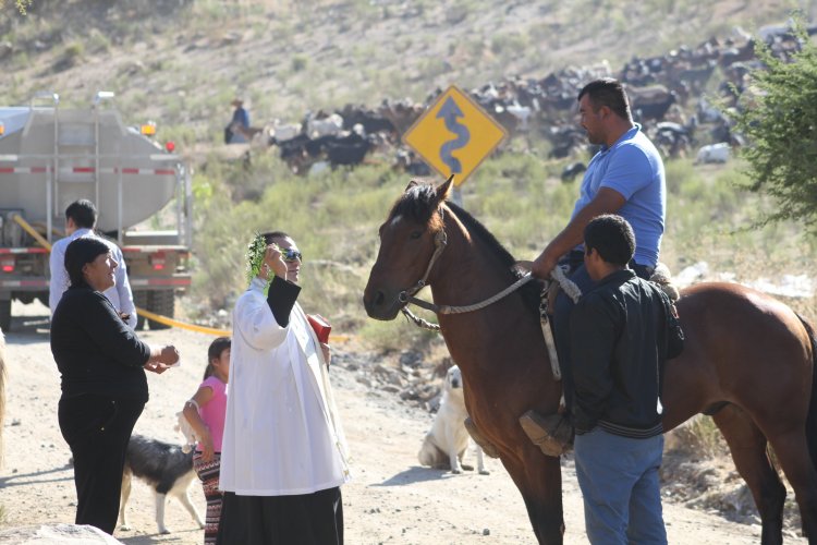 $350 MILLONES DESTINA EL GOBIERNO REGIONAL PARA VERANADAS DE CRIANCEROS EN ARGENTINA