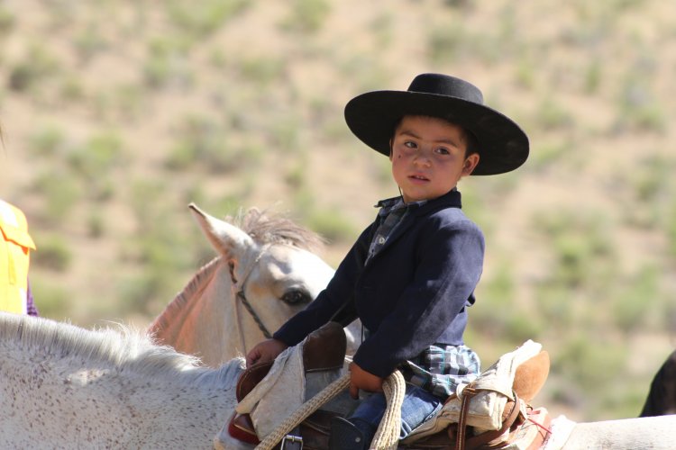 $350 MILLONES DESTINA EL GOBIERNO REGIONAL PARA VERANADAS DE CRIANCEROS EN ARGENTINA