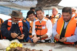 INDUSTRIA OSTIONERA ARTESANAL DE TONGOY EXPERIMENTA SIGNIFICATIVA REACTIVACIÓN