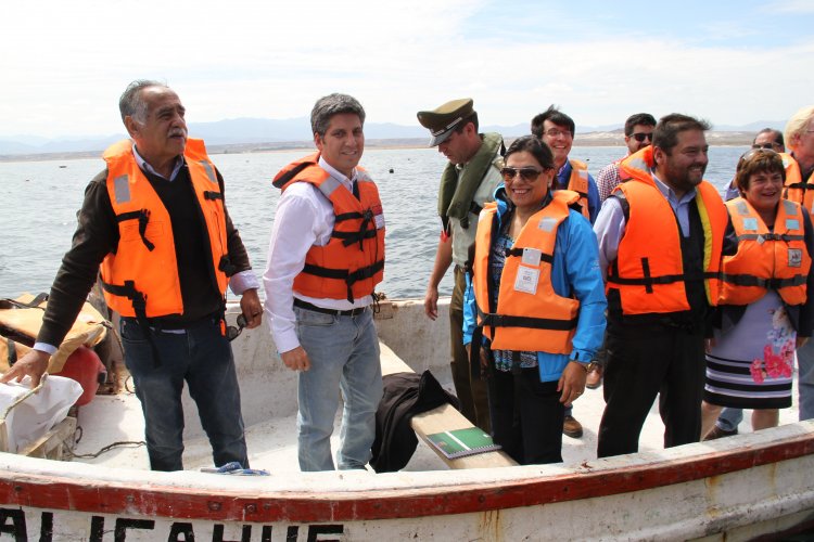 INDUSTRIA OSTIONERA ARTESANAL DE TONGOY EXPERIMENTA SIGNIFICATIVA REACTIVACIÓN
