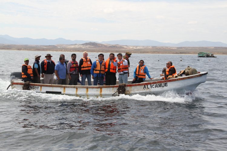 INDUSTRIA OSTIONERA ARTESANAL DE TONGOY EXPERIMENTA SIGNIFICATIVA REACTIVACIÓN