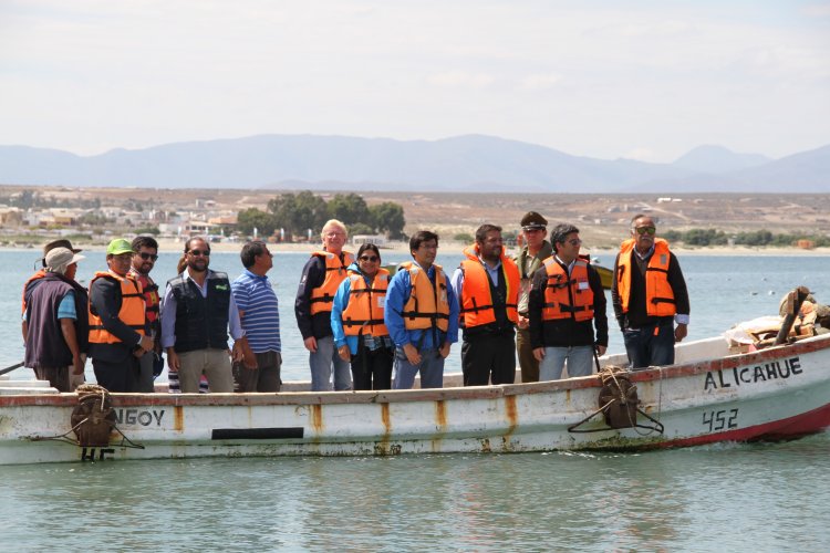 INDUSTRIA OSTIONERA ARTESANAL DE TONGOY EXPERIMENTA SIGNIFICATIVA REACTIVACIÓN