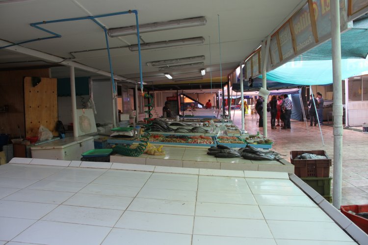 TERMINAL PESQUERO DE COQUIMBO REABRE SUS PUERTAS PARA RECIBIR A LOS TURISTAS