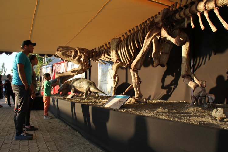 EXPO REGION DE COQUIMBO ESTA ABIERTA AL PÚBLICO Y ESPERA MÁS DE 70 MIL VISITANTES