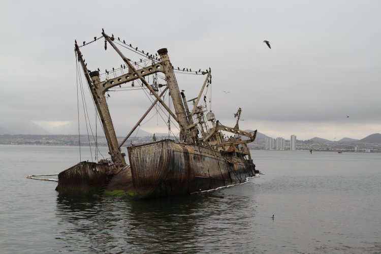 GOBIERNO COMPROMETE ACCIONES PARA EVITAR CONTAMINACIÓN EN BAHÍA DE COQUIMBO
