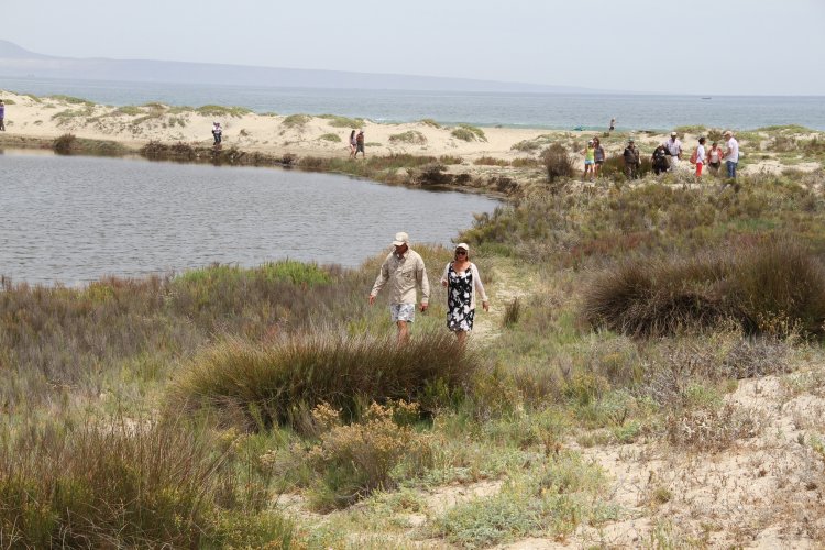 GOBIERNO ESTABLECE ACUERDO PARA PROTEGER HUMEDALES DE TONGOY