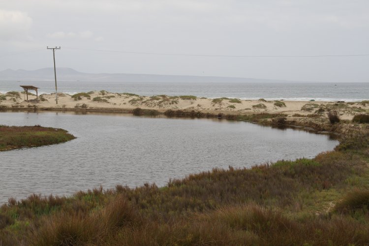 GOBIERNO ESTABLECE ACUERDO PARA PROTEGER HUMEDALES DE TONGOY