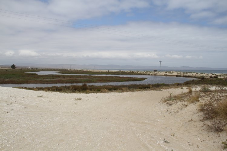 GOBIERNO ESTABLECE ACUERDO PARA PROTEGER HUMEDALES DE TONGOY