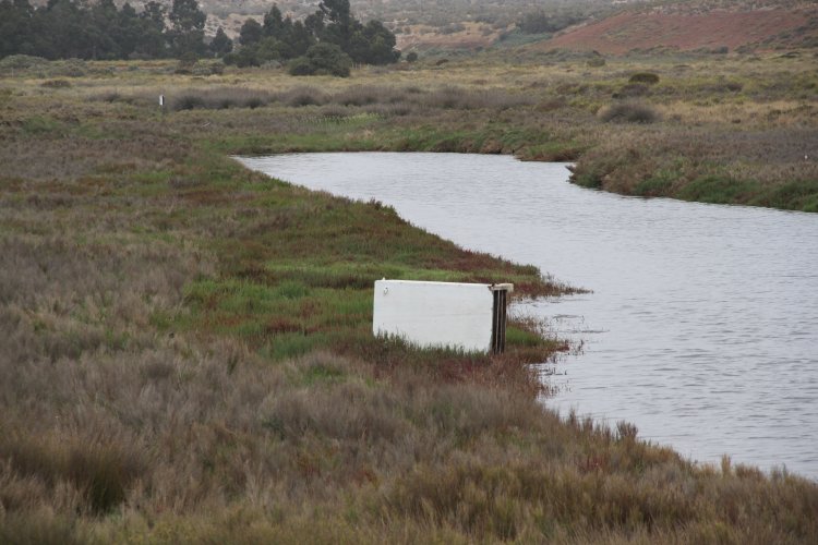 GOBIERNO ESTABLECE ACUERDO PARA PROTEGER HUMEDALES DE TONGOY